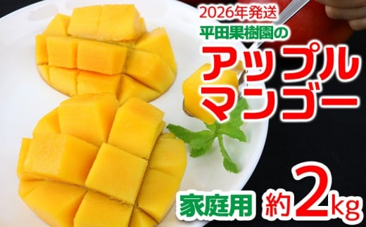 【2026年発送】平田果樹園のアップルマンゴー家庭用（約2kg） アーウィン 果物 甘い 夏 濃厚 ギフト Mango ランキング 完熟 お気に入り 美味しい 人気 おすすめ フルーツ 沖縄県 先行予約 食品 人気 産地直送 送料無料