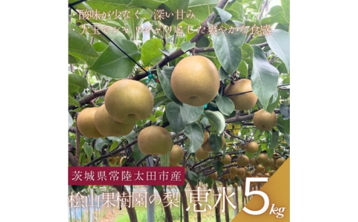 ＜先行受付＞2026年9月順次発送 桧山果樹園 茨城県 ブランド梨 恵水5kg【1668040】 2287247 - 茨城県茨城県庁