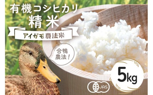 [令和7年産]有機 コシヒカリ 精米 5kg 有機栽培 有機米 特別栽培米 合鴨農法 こしひかり お米 白米 米 おこめ ブランド米 こしひかり 5キロ 国産 単一原料米 コメ こめ ご飯 銘柄米 茨城県産 茨城 産直 産地直送 農家直送 ごはん 家庭用 贈答用 茨城県 石岡市 (B03-001)