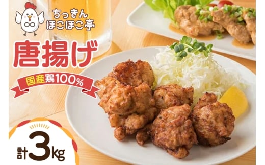 【国産鶏100％使用】 唐揚げ 冷凍 鶏もも 300g 10p 3kg [ちっきんほこほこ亭 山形県 高畠町 tk06ayt310005] からあげ から揚げ しょうゆ レンジ 惣菜 お惣菜 国産 鶏肉 鶏 もも肉 簡単調理 お弁当 おかず 1213956 - 山形県高畠町