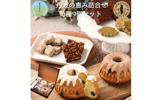 丹波の恵み　焼き菓子詰め合わせ（大) 6種9個 丹波篠山産黒豆のクグロフ・丹波栗のクグロフ・丹波篠山産山椒とクルミのブラウニー・住山ごぼうのガトーショコラ・丹波黒豆きな粉ネージュ・丹波茶のクッキー　
