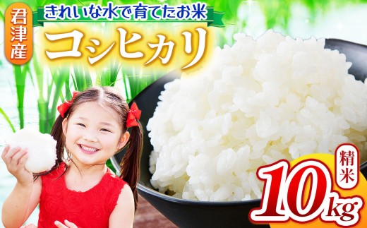 【 ９月下旬から順次発送 】　新米 令和7年産 コシヒカリ 10kg 精米 きれいな水で育てたお米 | 保坂農場 名水 おいしい水 ちばエコ農産物 君津市産 イチオシ 千葉 君津市 きみつ 房総 2290240 - 千葉県君津市
