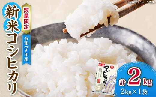 令和7年産 新米 コシヒカリ 計2kg お米 ご飯 ライス 国産 数量限定 人気 食品 精米 白米 こしひかり 有洗米 おにぎり お弁当 炊き込みご飯 雑炊 ギフト プレゼント 贈り物 お取り寄せ 産地直送 宮崎県 日南市 送料無料_A98-25 1445244 - 宮崎県日南市