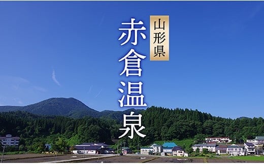 AK赤倉温泉利用券