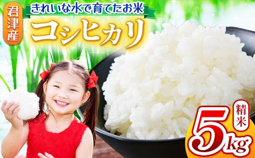【 ９月下旬から順次発送 】　新米 令和7年産 コシヒカリ 5kg 精米 きれいな水で育てたお米 | 保坂農場 名水 おいしい水 ちばエコ農産物 君津市産 イチオシ 千葉 君津市 きみつ 房総 2290239 - 千葉県君津市