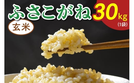 令和7年度産 ふさこがね《玄米》30kg (1袋)｜米 おこめ もっちり 弁当 袖ケ浦 千葉 [0520]