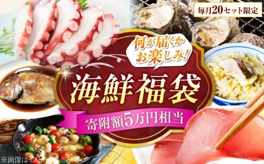 【何が届くかお楽しみ】旬の海の幸福袋 寄附額5万円相当 魚介類 海産物 海鮮 刺身 広島 海鮮 魚介類 冷凍 水産加工品 海藻 鮮魚 さかな 刺身 詰め合わせ セット 小分け 海鮮丼 加工品 惣菜 刺身 真空パック 小分け タコ たこ 蛸 はまち ハマチ 魬 しらす シラス 料理 和食 時短 便利 ギフト 広島県産 人気 送料無料 江田島市/七宝丸 [XBY008]