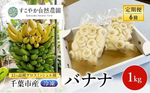 幻の品種 グロスミッシェル種 千葉市産 冷凍バナナ 1kg 定期便（6回）バナナ 果物 フルーツ 冷凍 千葉市 [№5346-1504]