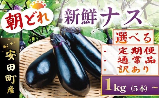収穫したその日に発送します