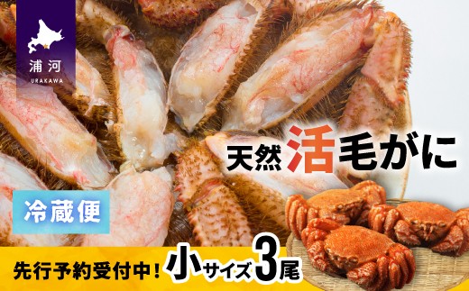 「活」の状態でお届けしますので、茹でて食べるのはもちろん、お刺身や鍋の具材としてもおすすめです!