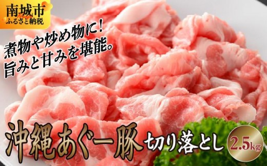 【ふるさと納税】沖縄あぐー豚 切り落とし 