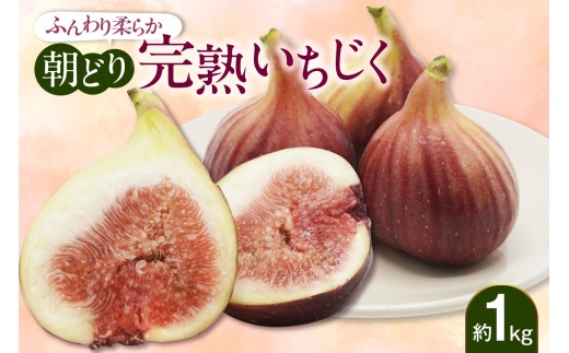 【先行予約】ふんわり柔らか朝どり完熟いちじ