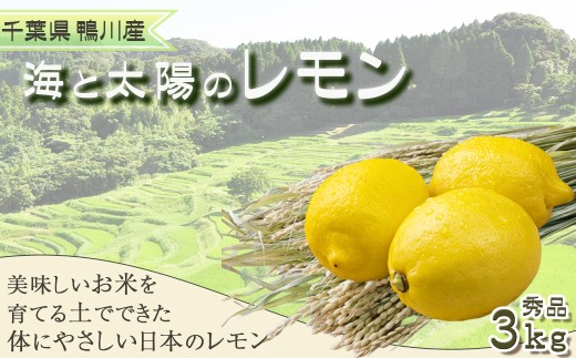 美味しいお米を育てる土壌から生まれた、安心・安全な国産レモン。