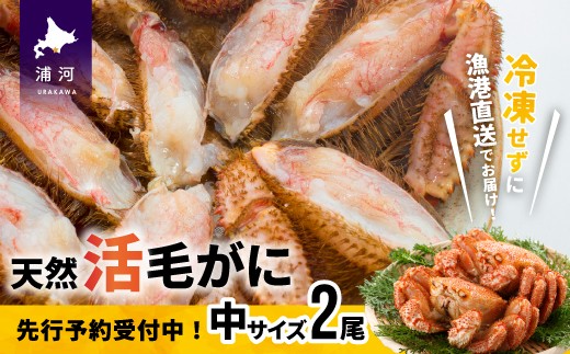 「活」の状態でお届けしますので、茹でて食べるのはもちろん、お刺身や鍋の具材としてもおすすめです!