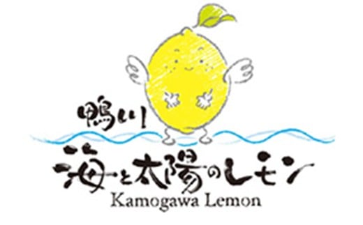 鴨川の海風と太陽の光をたっぷり浴びて育った「海と太陽のレモン」。地域の新しいブランド農産物として、多くの人々に愛されています。