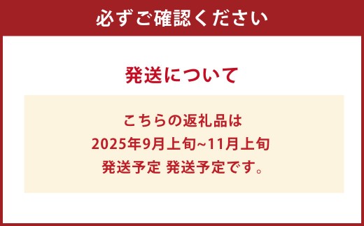 シャインマスカット晴王（特大房） 2房入り（合計約2kg）