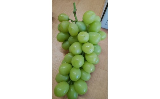 アイテムID:405365の画像2枚目