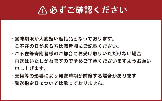シャイン マスカット晴王 1房（約600g）