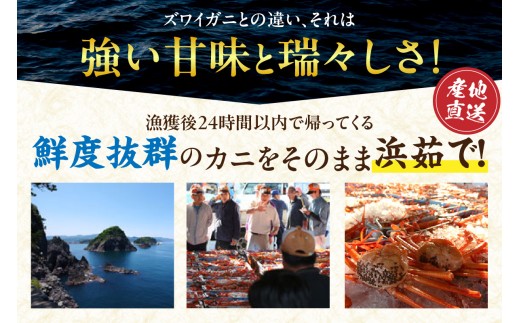 ズワイガニとは違う強い甘味と瑞々しさ！鮮度抜群のカニをそのまま浜茹で！