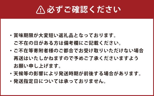 シャインマスカット晴王（特大房） 2房入り（合計約2kg）