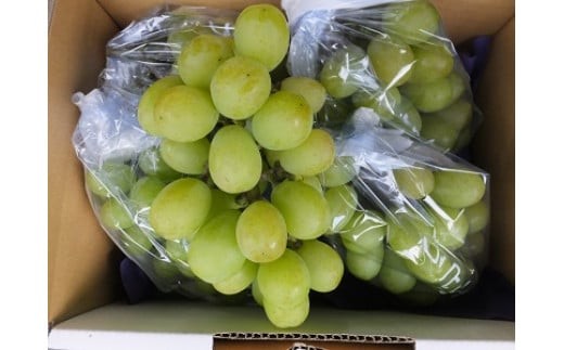 アイテムID:405365の画像4枚目