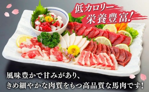 桜屋 馬刺し 6種 420g 熊本 冷凍 馬肉 馬刺 ヘルシー
