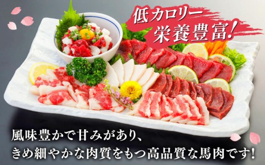 定期便 桜屋馬刺し 6種 420g 熊本 冷凍 馬肉 馬刺 ヘルシー