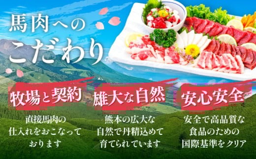 桜屋 馬刺し 6種 420g 熊本 冷凍 馬肉 馬刺 ヘルシー