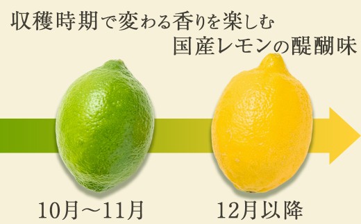収穫時期で変わる香りを楽しむ。国産レモンの醍醐味。