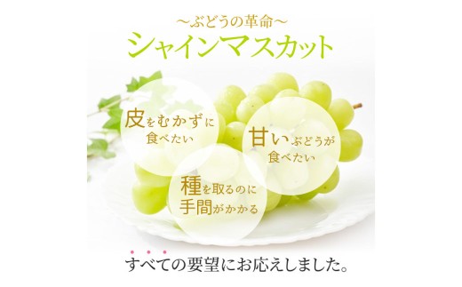 シャインマスカット晴王（特大房） 2房入り（合計約2kg）