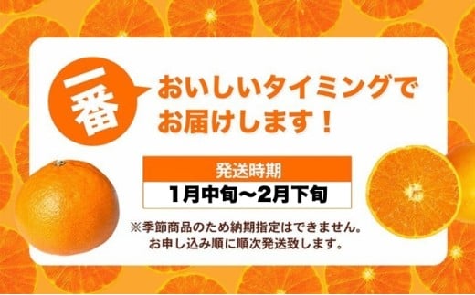 愛媛県砥部町のふるさと納税 【数量限定　先行予約】せとか（青秀）3kg 3L～L JA正規品 2026年1月～順次発送＜旬 甘い みかん 蜜柑 柑橘 かんきつ 高級 ギフト 愛媛県 農協 JA直送 フルーツ 果物 くだもの スイーツ＞[№5310-0024]