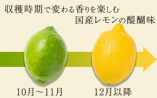 収穫時期で変わる香りを楽しむ。国産レモンの醍醐味。