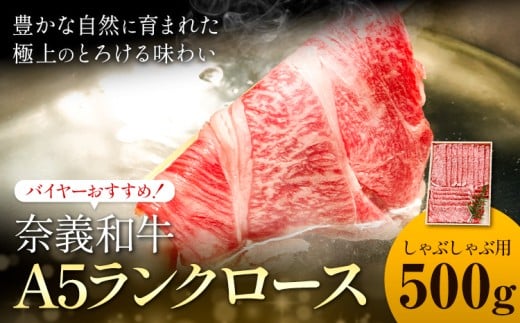 奈義和牛 A5ランクロース バイヤーおすすめ！ しゃぶしゃぶ用 500g 株式会社 天満屋《30日以内に出荷予定(土日祝除く)》岡山県 矢掛町 和牛 牛肉 肉 A5ランク しゃぶしゃぶ 送料無料 2304824 - 岡山県矢掛町