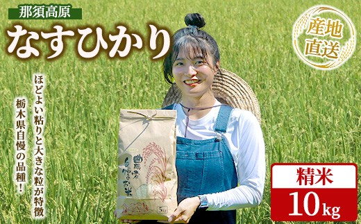 那須高原 令和7年産 なすひかり 10キロ 精米〔P-404〕 ｜ 新米 白米 10kg こしひかり 米 こめ コメ ごはん ご飯 産地直送 期間限定 季節限定 栃木県 那須町 ※2025年10月上旬～2026年2月下旬頃に順次発送予定