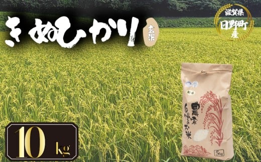 【 令和7年産 新米 10kg 】 きぬひかり 米 玄米 国産 滋賀県 日野町 農家直送 お米 おこめ こめ 産地直送 ふるさと納税