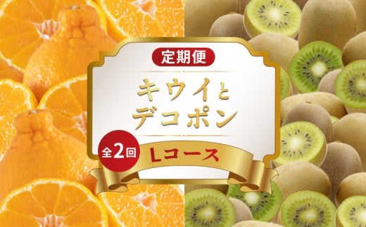 旬のフルーツ 定期便 2回 Lコース 果物 フルーツ デコポン 不知火 柑橘 みかん 蜜柑 キウイっこ キウイフルーツ デザート スイーツ ケーキ ゼリー ふるさと納税定期便 ふるさと納税フルーツ ギフト 贈答 送料無料 ふるさと納税 香川県 丸亀市