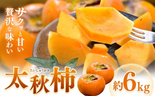 柿 太秋柿 たいしゅうがき 約6kg 日本フルーツ株式会社《9月上旬-10月末頃出荷》熊本県 菊池市 柿 かき 熊本県産 秋の味覚 果物 くだもの フルーツ デザート