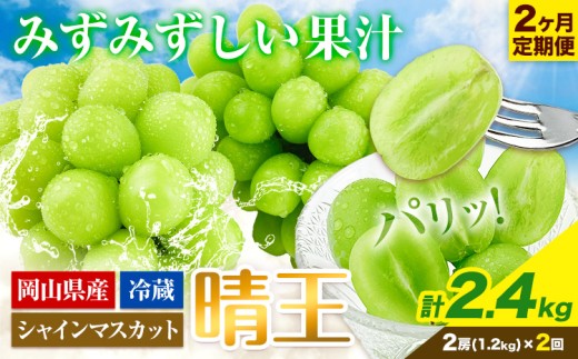 シャインマスカット 2ヶ月 定期便[2026年先行予約]シャインマスカット 晴王 約1.2kg 岡山県産[9月上旬-10月末頃出荷(土日祝除く)] ハレノフルーツ マスカット 送料無料 岡山県 浅口市 フルーツ 果物 贈り物 ギフト 国産 岡山県産 くだもの[配送不可地域あり] st-p
