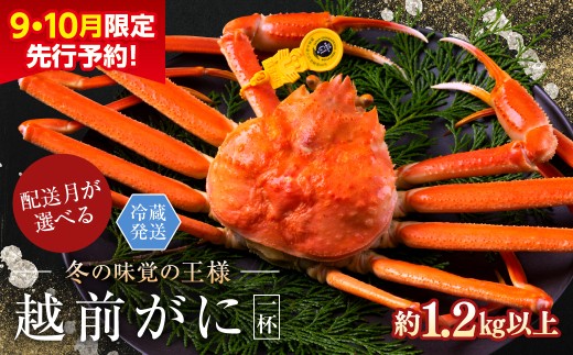 【2026年3月発送・指定日着可】【先行予約 9月10月限定】越前がに(オス)「ずわいがに」特特大サイズ(1.2kg以上) 1杯 2246633 - 福井県越前市