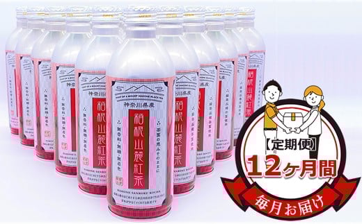 ★レビューキャンペーン実施中★【定期便】毎月お届け（12ヶ月間）：箱根山麓紅茶リシール缶490ｇ×24本入【お茶 足柄茶 神奈川県 南足柄市 】