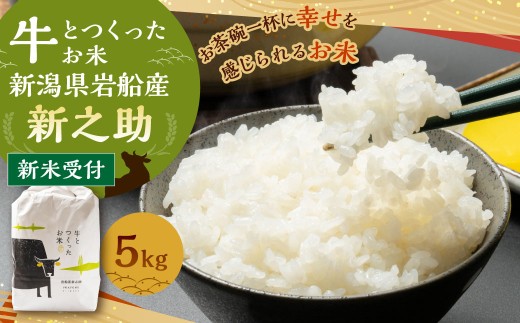 【新米受付・令和7年産米】牛とつくったお米 新潟県 村上市 岩船産 新之助 精米 5kg 1041002N 2270982 - 新潟県村上市