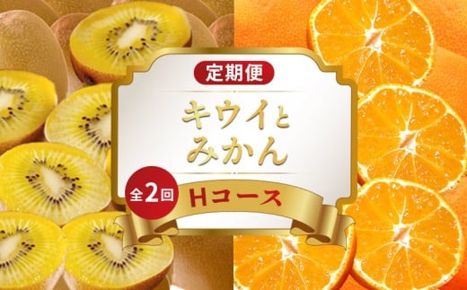 旬のフルーツ 定期便 2回 Hコース 果物 フルーツ 小原紅早生 みかん 柑橘 蜜柑 さぬきゴールドキウイ キウイ デザート スイーツ ケーキ ゼリー ジュース アイス ふるさと納税定期便 ふるさと納税フルーツ ギフト 贈答 送料無料 ふるさと納税 香川県 丸亀市