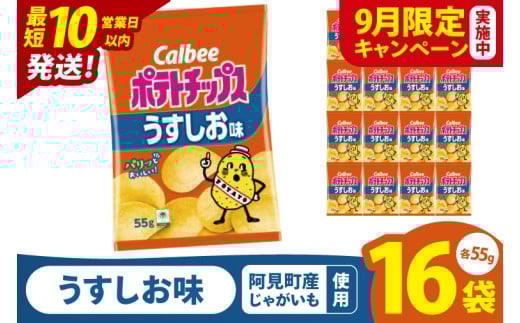 【9月限定価格】【10営業日以内に出荷】カルビー ポテトチップスうすしお味（55g） 16個｜Calbee お菓子 菓子 おやつ おかし ぽてち ポテチ スナック おつまみ ジャガイモ じゃがいも（93-01-A）