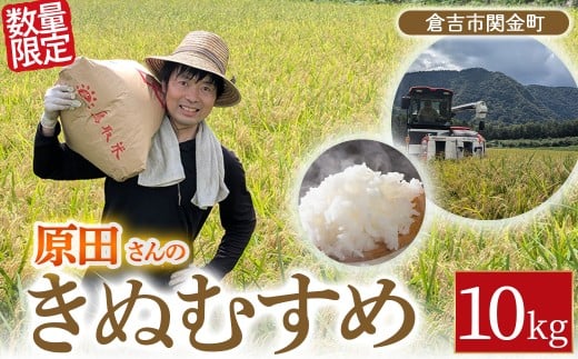 【新米】【在庫限定】令和7年産米 原田さんのきぬむすめ 10kg （原田農園）数量限定 新米 お米 米 こめ コメ 白米 きぬむすめ ブランド米 鳥取県 倉吉市 1542661 - 鳥取県倉吉市
