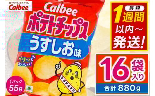 ポテトチップス カルビー 「うすしお味」16袋（55g×16袋）1ケース 総計880g【ポテチ Calbee うすしお セット 菓子 ポテト チップス スナック おやつ しお じゃがいも ジャガイモ お取り寄せ まとめ買い 詰め合わせ 詰合せ 人気 送料無料】  (BG026)