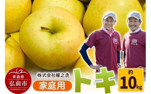 【25年9月～発送】りんご 權之丞farm トキ 家庭用 約10kg（24～40玉程度）【レビューキャンペーン】