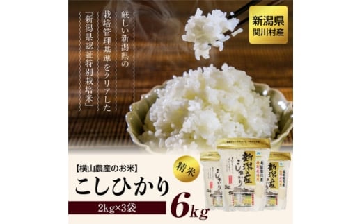 ＜毎月定期便＞関川村産こしひかり6kg(2kg×3袋)ふっくら美味しさ 岩船米 [横山農産]全12回【4073979】