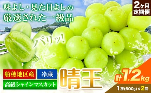 高級 シャインマスカット 2ヶ月定期便【2025年先行予約】 ぶどう 晴王(1房600g×2ヶ月 計1.2kg) 岡山県産《9月上旬-10月末頃出荷(土日祝除く)》 ハレノフルーツ マスカット 送料無料 岡山県 浅口市 フルーツ 果物 贈り物 ギフト 国産 岡山県産【配送不可地域あり】 st-p