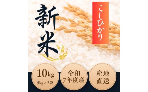 1F16 令和7年度産 新米コシヒカリ 10kg 2290099 - 静岡県小山町