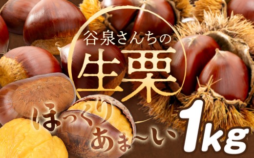 [数量限定]栗 生栗 くり 谷泉さんちの生栗 1kg 谷泉功[10月上旬-10月末頃出荷]徳島県 佐那河内村 送料無料 クリ 旬 秋 果物 栗ごはん スイーツ お取り寄せ[配送不可地域あり](離島)